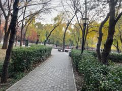 -玲珑塔公园