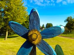 -羊亭河湿地公园