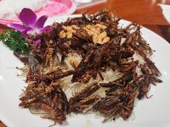 -五邑人家(江门店)
