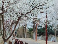 -南海子公园