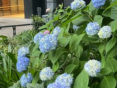 -横滨红砖仓库1号馆