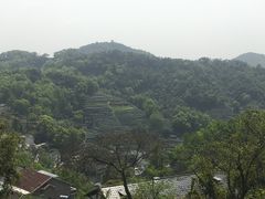 -龙井村