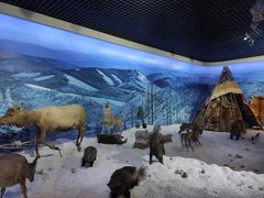 -呼伦贝尔民族博物馆