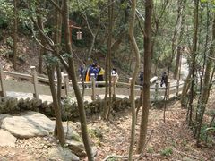 -普陀山风景区-佛顶山