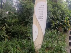 -成都市活水公园