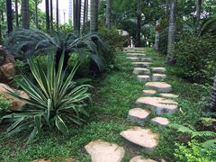 -人民公园(罗湖区)