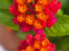 -杭州城北体育公园