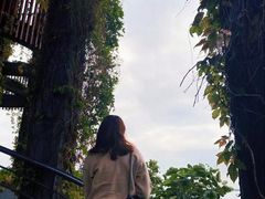 -芒洲湿地公园
