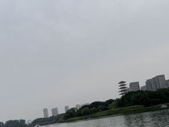 -暨阳湖生态园