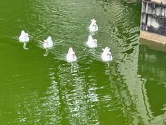 -珠海圆明新园