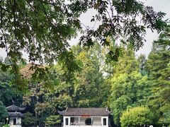 -杭州植物园