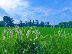 -嘉北郊野公园