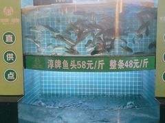 -千岛湖小鱼儿·淳安匠心农家菜