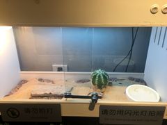 -打趸BTC·Breaktime cafe(北京路店)