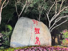 -野狸岛