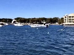 -黄金海岸