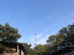 -紫金山山顶公园
