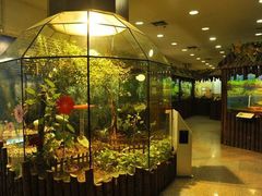 -上海大自然野生昆虫馆(东方明珠·爬宠昆虫探索中心)