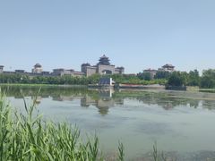 -莲花池公园