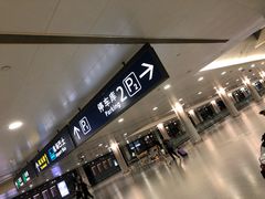 -上海浦东国际机场-T2航站楼