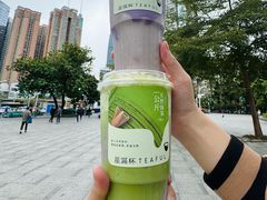-星满杯TEAFUL(罗湖东门店)
