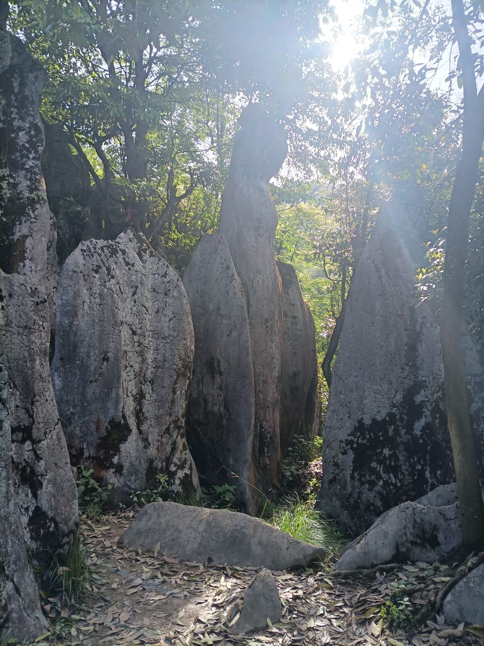 去这里探寻原始的石林地貌吧