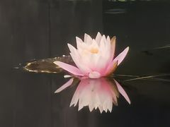-望江楼公园