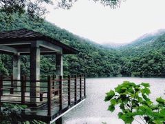-广州市石门国家森林公园