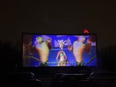 -枫花园汽车电影院(朝阳公园店)