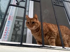 -新梦想艺术学校(泛悦mall店)