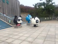 -大连森林动物园熊猫馆纪念品商店
