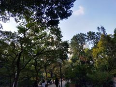 -九龙公园