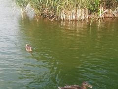 -朝阳公园游乐园