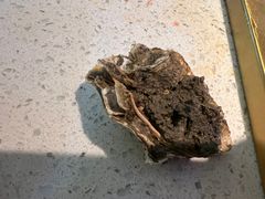 -佰烧海鲜烤肉火锅自助(世茂国际广场店)