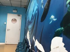 -格林米乐教育(安高广场中心店)