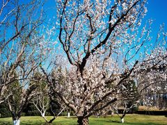 -春晖园度假酒店温泉