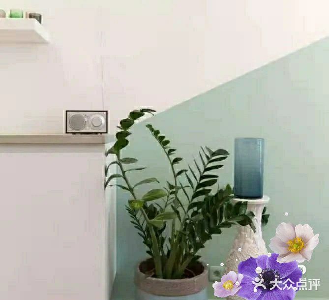 恬静悠然的气息让人身心放心