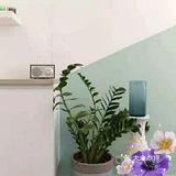 恬静悠然的气息让人身心放心