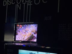 -同济大学四平路校区深海探索馆