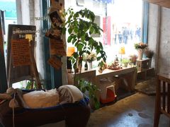 -Babycat私家御饼屋(龙头路一店)