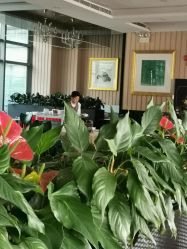 -空中一号宴会厅(信合大厦店)