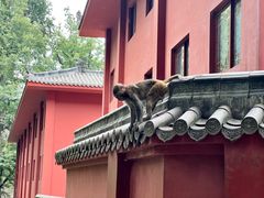 -黔灵山公园