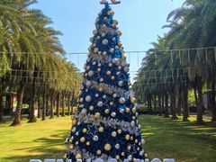 -三亚海棠湾万丽度假酒店