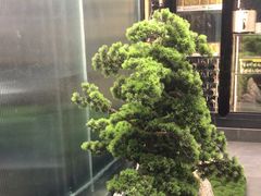 -湖畔鲁菜·二十年老字号餐厅(大明湖店)