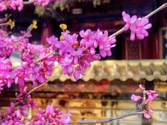 -西安市广仁寺