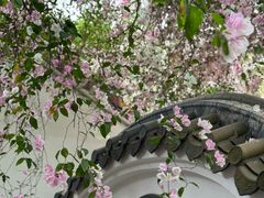 -深圳国际园林花卉博览园