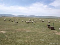 -青海湖国家重点风景名胜区
