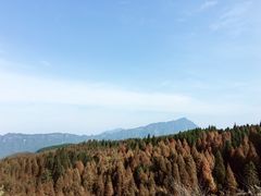 -山王坪喀斯特国家生态公园