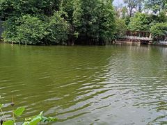 -荔湾湖公园