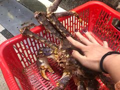 -蚝专家(北滘店)